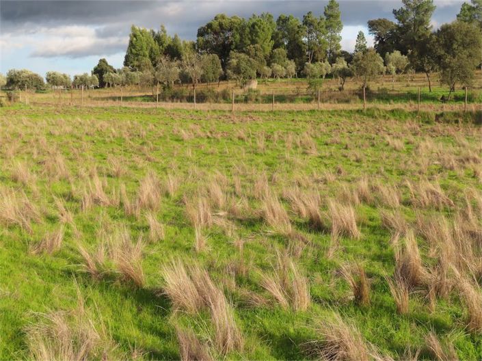 Image No.12-Property for sale