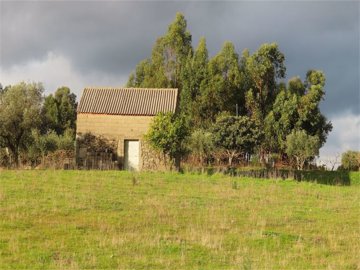 img7636-1