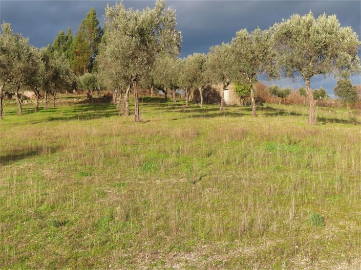 Image No.18-Property for sale