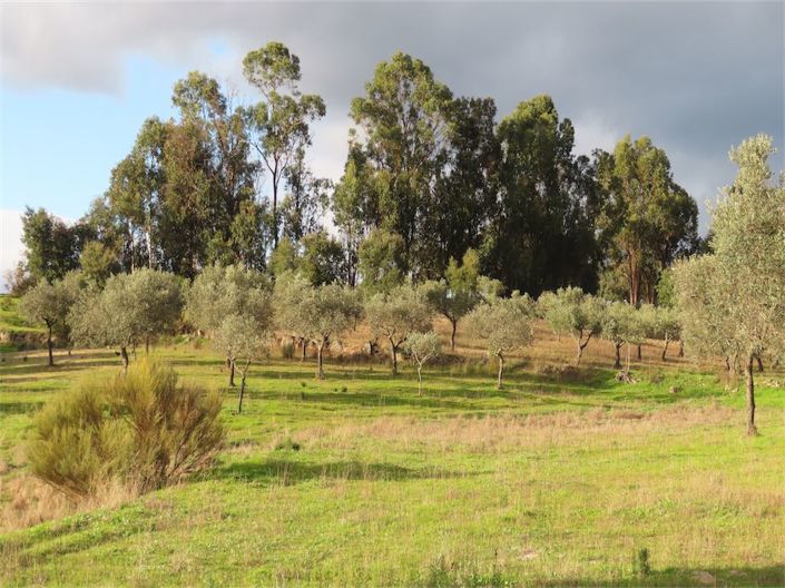 Image No.19-Property for sale