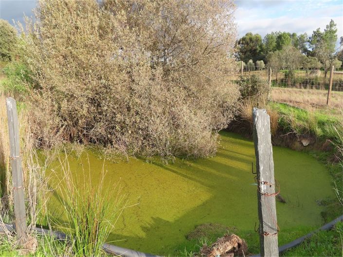 Image No.2-Property for sale