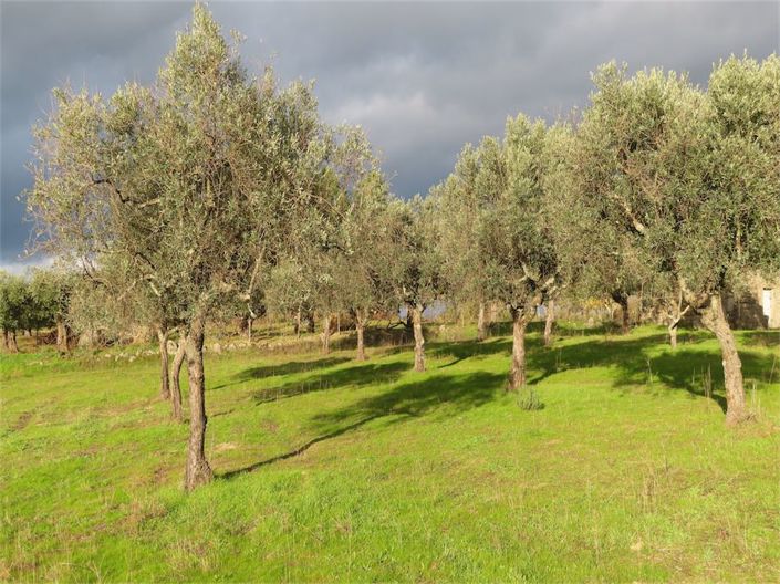 Image No.24-Property for sale