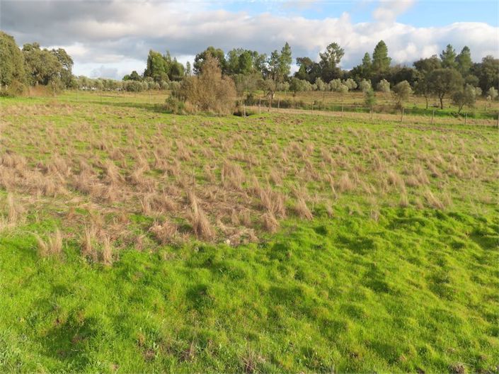 Image No.5-Property for sale