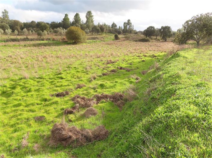 Image No.6-Property for sale