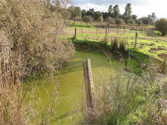 Image No.8-Property for sale