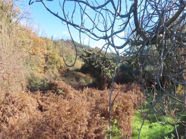 Image No.19-Property for sale