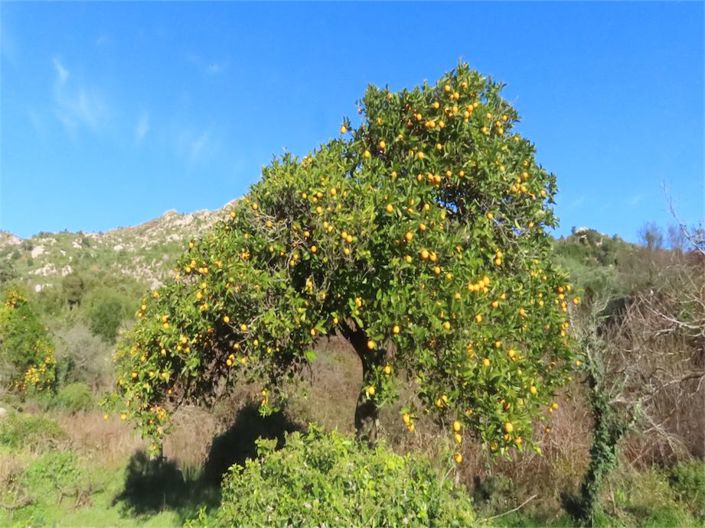 Image No.20-Property for sale