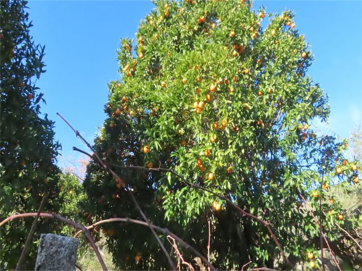 Image No.25-Property for sale