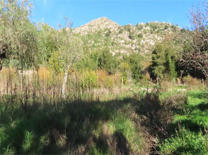 Image No.27-Property for sale