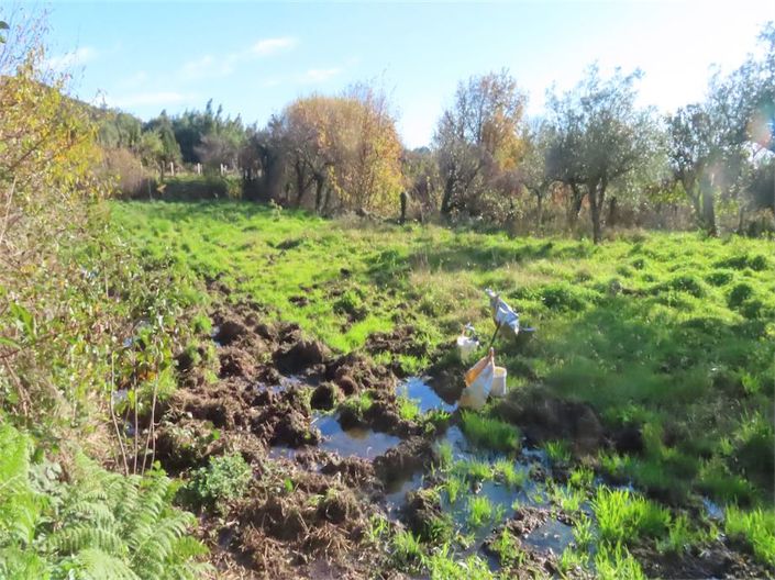 Image No.31-Property for sale