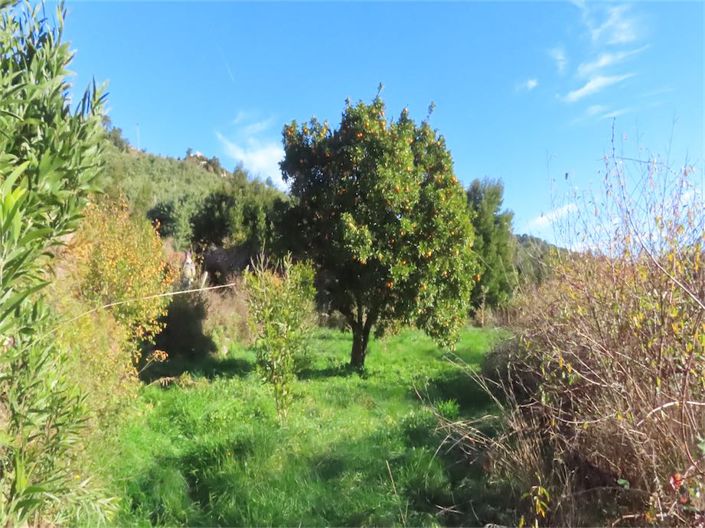 Image No.32-Property for sale