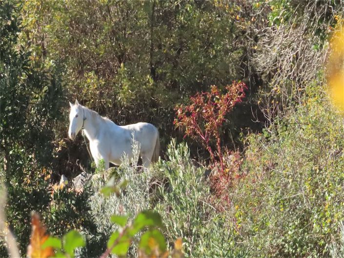 Image No.34-Property for sale