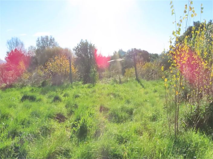 Image No.37-Property for sale