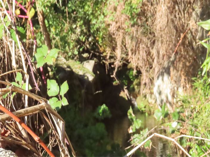 Image No.41-Property for sale