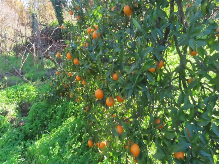 Image No.49-Property for sale