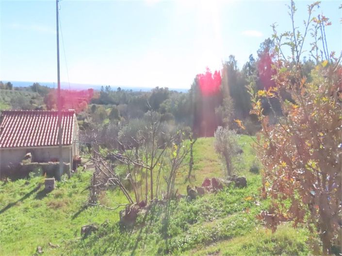Image No.1-Property for sale