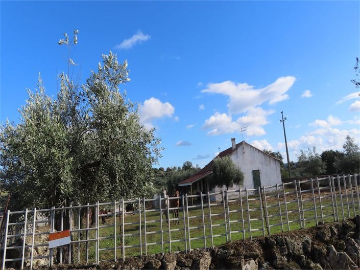 Image No.2-Propriété de 3 chambres à vendre à Castelo Branco