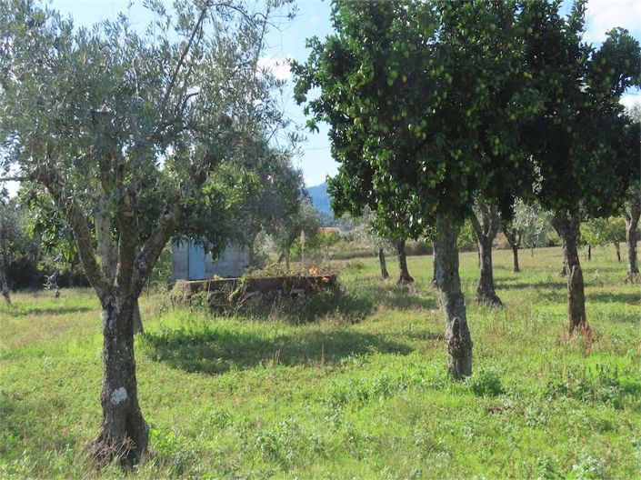 Image No.17-Propriété de 3 chambres à vendre à Castelo Branco