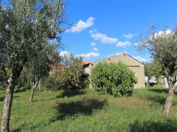 Image No.18-Propriété de 3 chambres à vendre à Castelo Branco