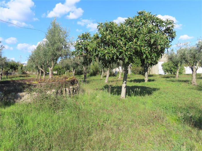 Image No.20-Propriété de 3 chambres à vendre à Castelo Branco