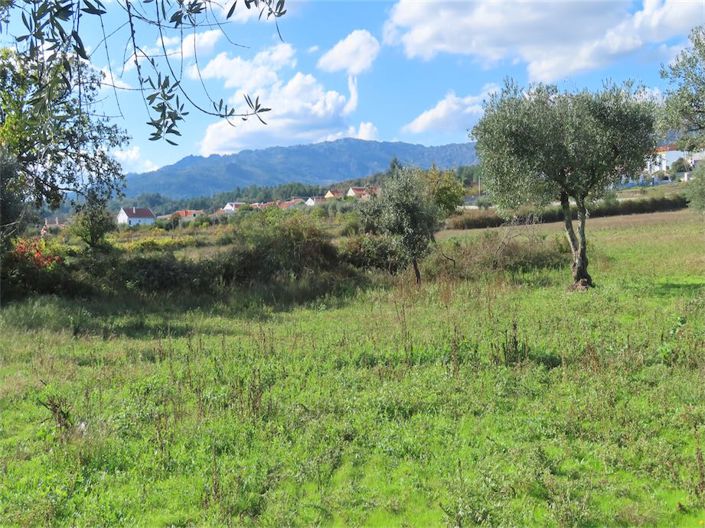 Image No.21-Propriété de 3 chambres à vendre à Castelo Branco