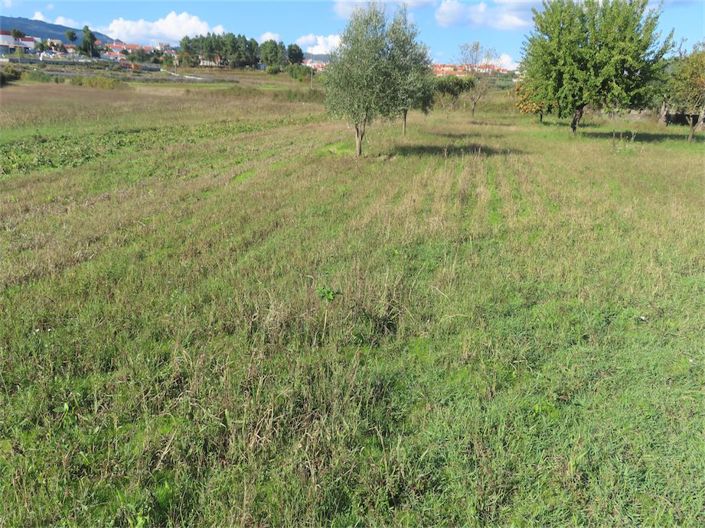 Image No.25-Propriété de 3 chambres à vendre à Castelo Branco