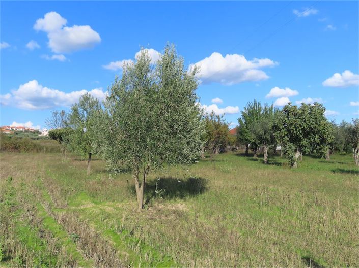 Image No.26-Propriété de 3 chambres à vendre à Castelo Branco