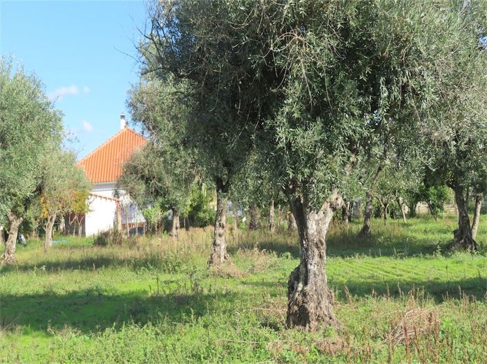 Image No.36-Propriété de 3 chambres à vendre à Castelo Branco