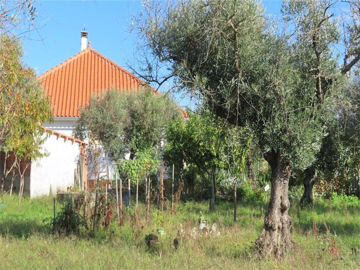 Image No.37-Propriété de 3 chambres à vendre à Castelo Branco