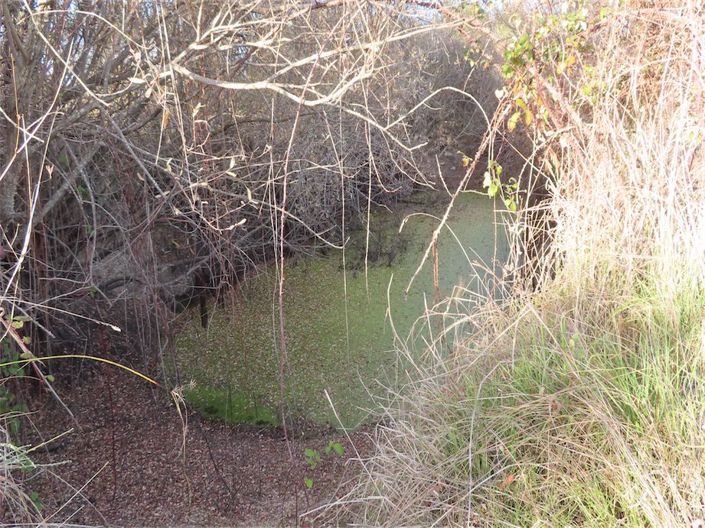 Image No.13-Property for sale