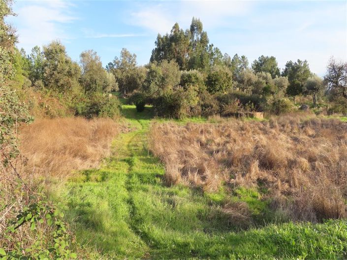 Image No.19-Property for sale