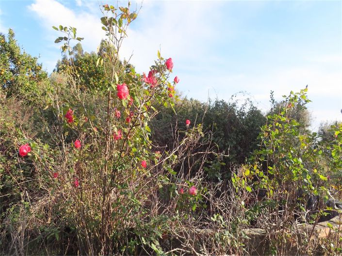 Image No.20-Property for sale