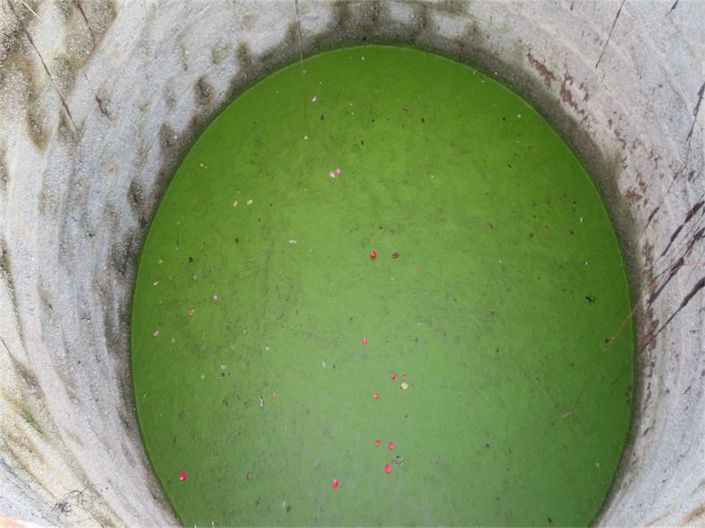 Image No.22-Property for sale