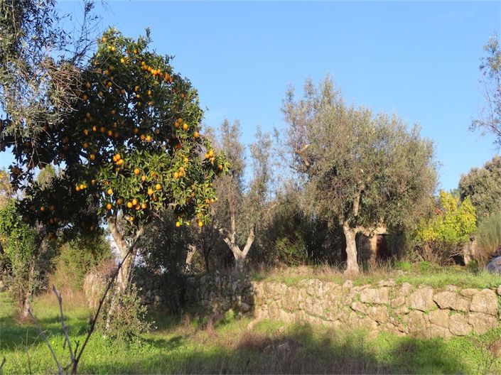 Image No.27-Property for sale