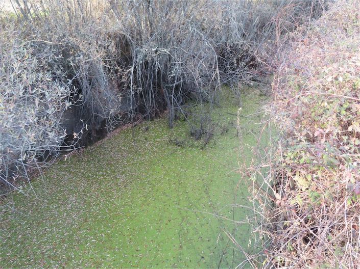 Image No.3-Property for sale