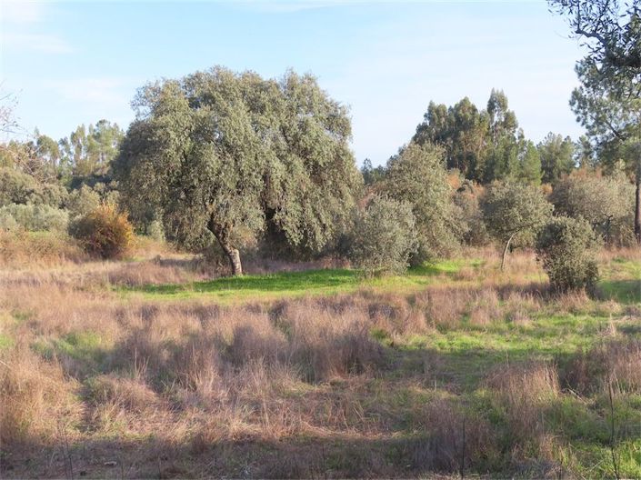 Image No.7-Property for sale