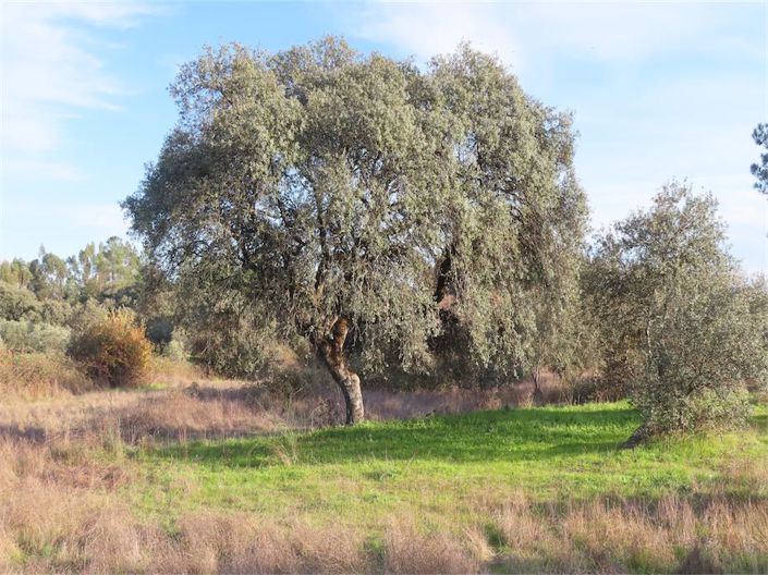 Image No.8-Property for sale