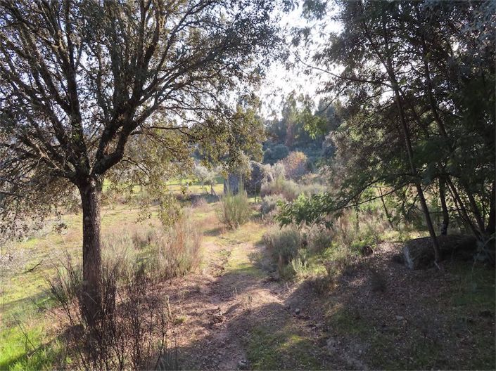 Image No.11-Property for sale