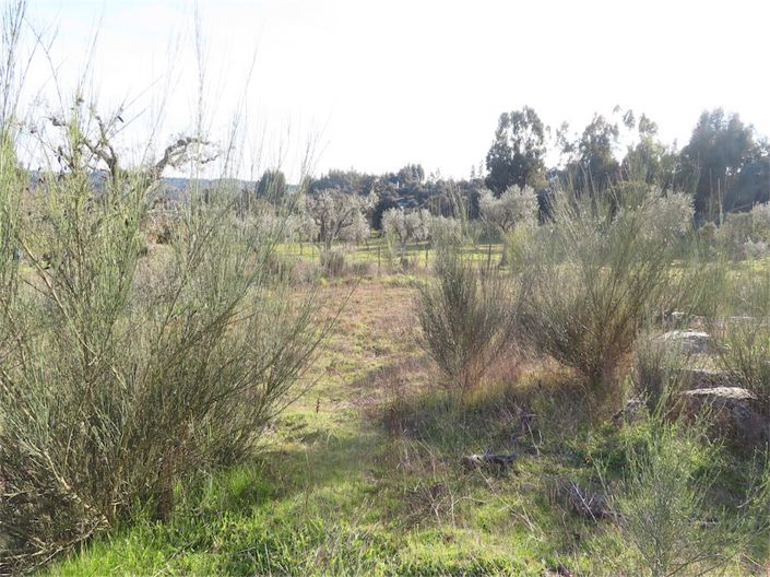 Image No.12-Property for sale