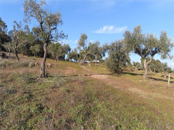 Image No.13-Property for sale