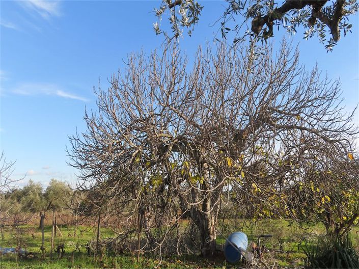 Image No.14-Property for sale