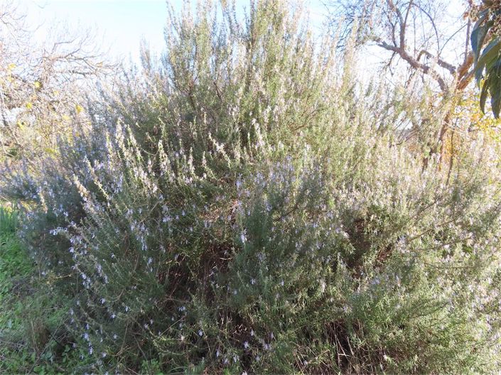 Image No.15-Property for sale