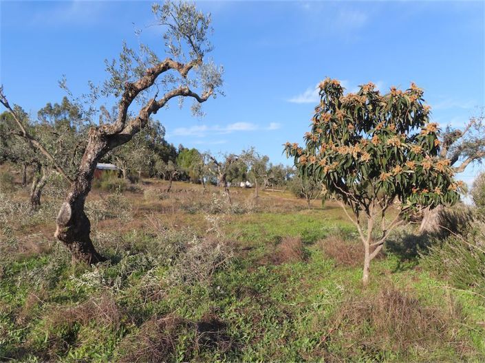 Image No.16-Property for sale