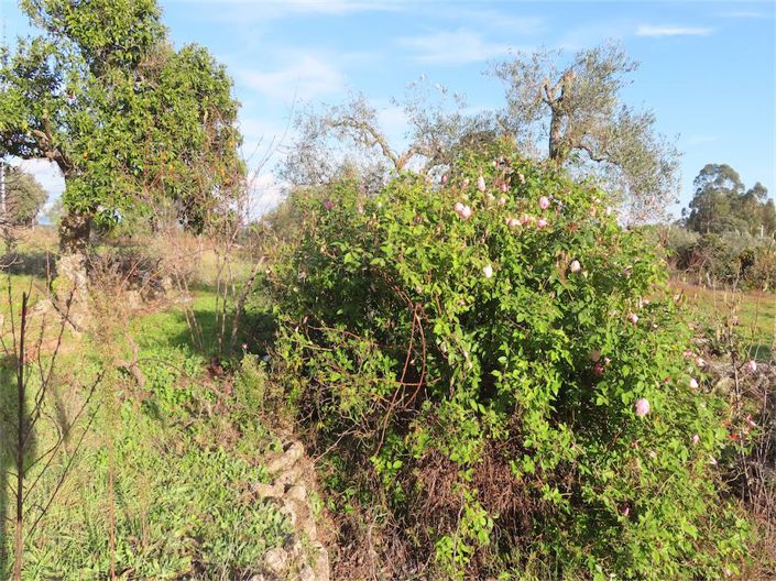 Image No.17-Property for sale