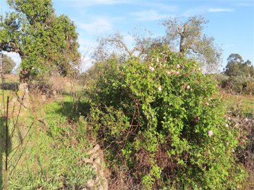 img7807