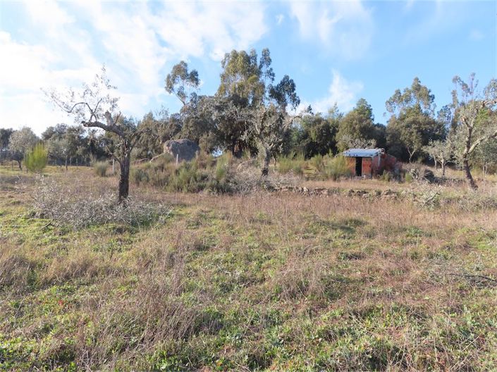 Image No.2-Property for sale