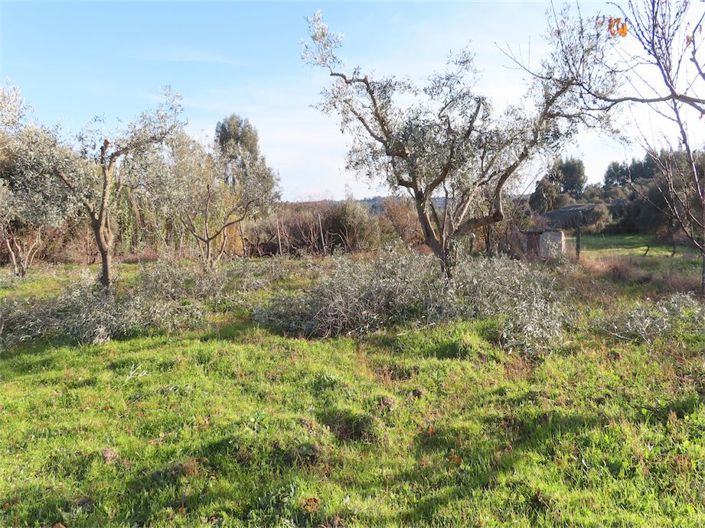 Image No.20-Property for sale