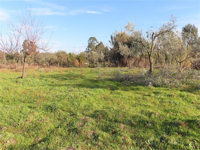 Image No.21-Property for sale