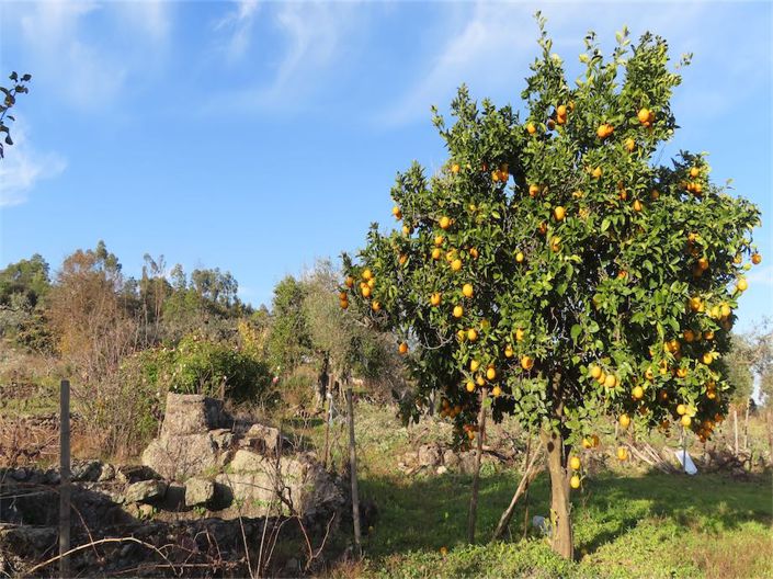 Image No.23-Property for sale