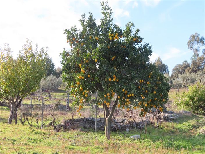 Image No.24-Property for sale